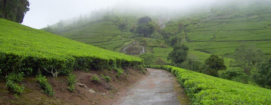Meghamalai