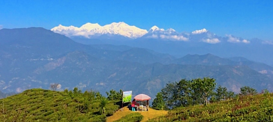 View from Tea Estates