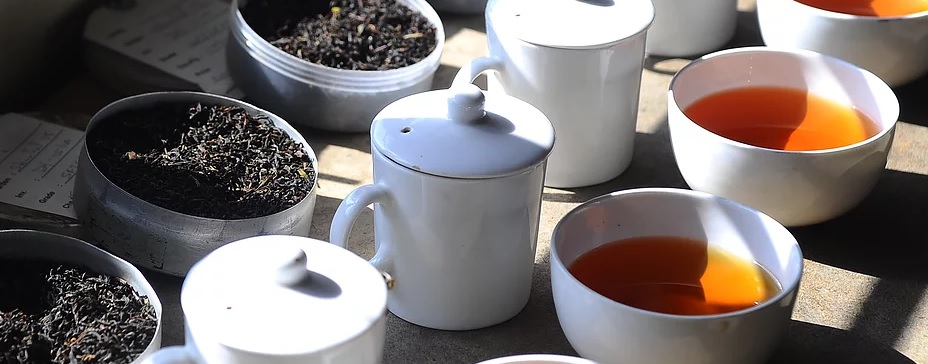 Tea Tasting Session